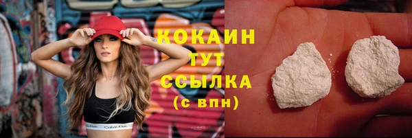 гидра Арсеньев