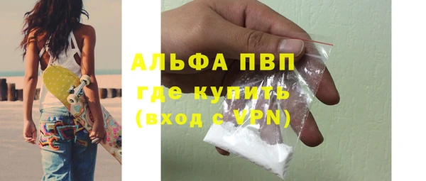PSILOCYBIN Осташков