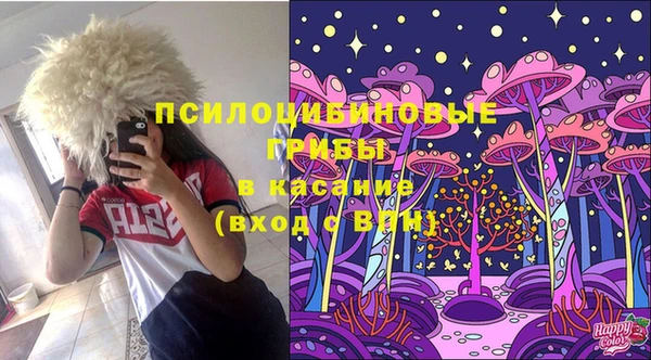 гидра Арсеньев