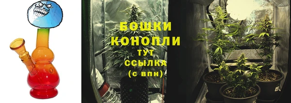 гидра Арсеньев